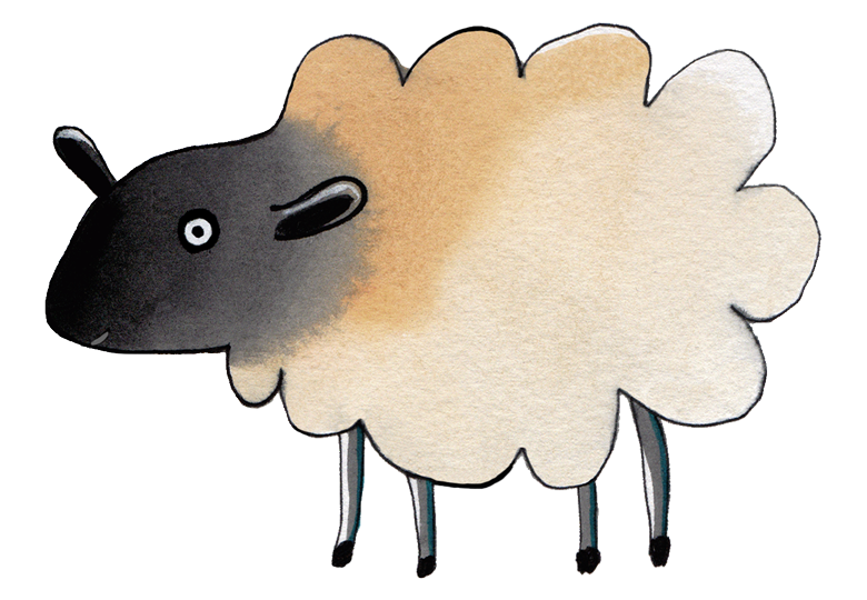 Sheep